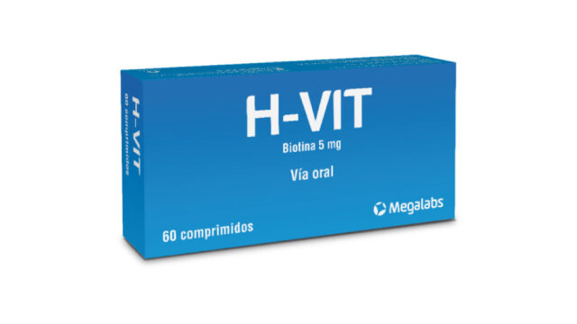 H-Vit